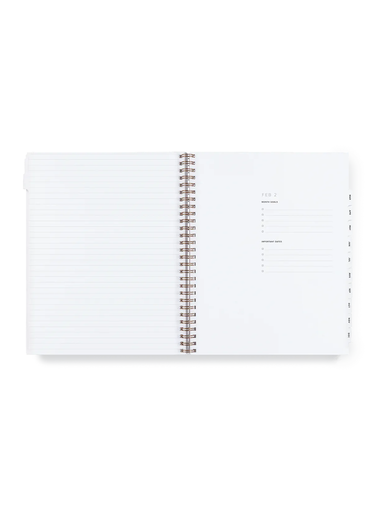 2025 Appointed Year Task Planner - Cobalt Yellow